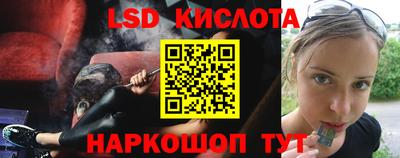 PSILOCYBIN Донской
